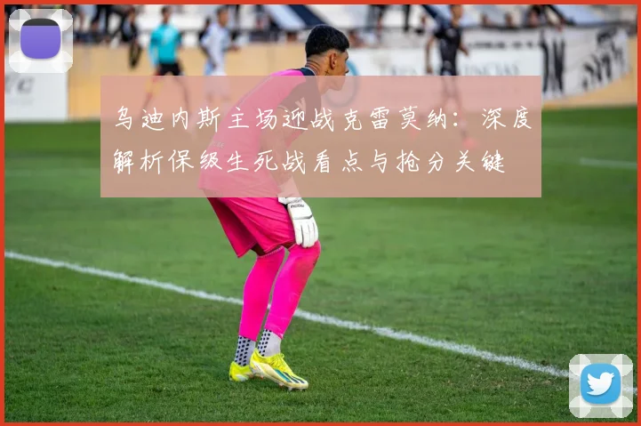乌迪内斯主场迎战克雷莫纳：深度解析保级生死战看点与抢分关键