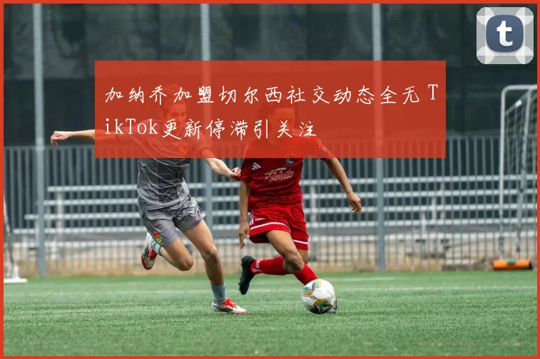 加纳乔加盟切尔西社交动态全无 TikTok更新停滞引关注