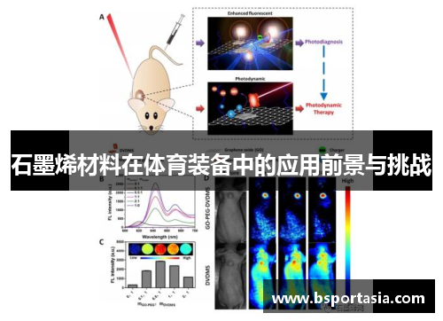 石墨烯材料在体育装备中的应用前景与挑战